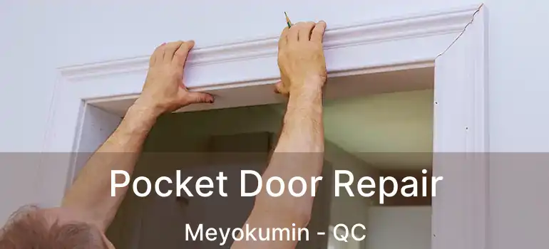  Pocket Door Repair Meyokumin - QC