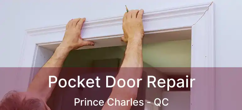  Pocket Door Repair Prince Charles - QC