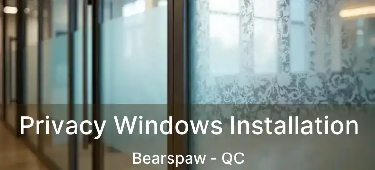 Privacy Windows Installation Bearspaw - QC