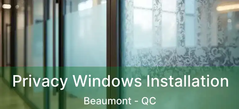  Privacy Windows Installation Beaumont - QC