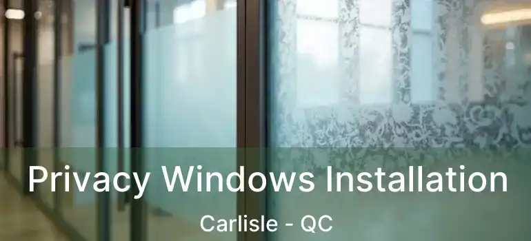 Privacy Windows Installation Carlisle - QC