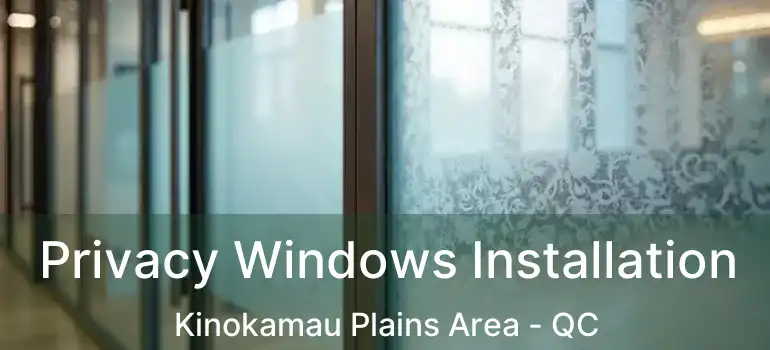  Privacy Windows Installation Kinokamau Plains Area - QC