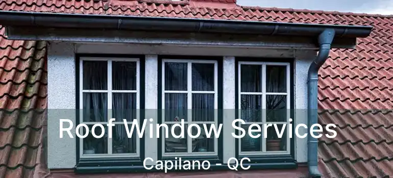  Roof Window Services Capilano - QC