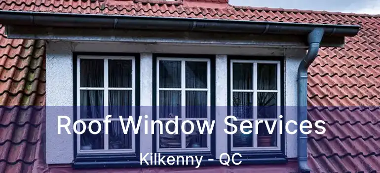  Roof Window Services Kilkenny - QC