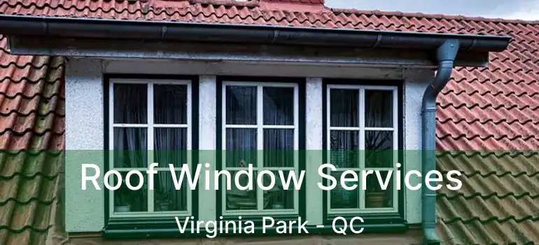  Roof Window Services Virginia Park - QC