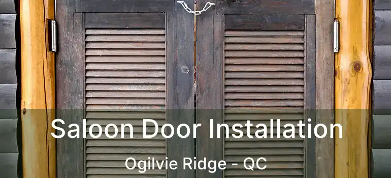 Saloon Door Installation Ogilvie Ridge - QC