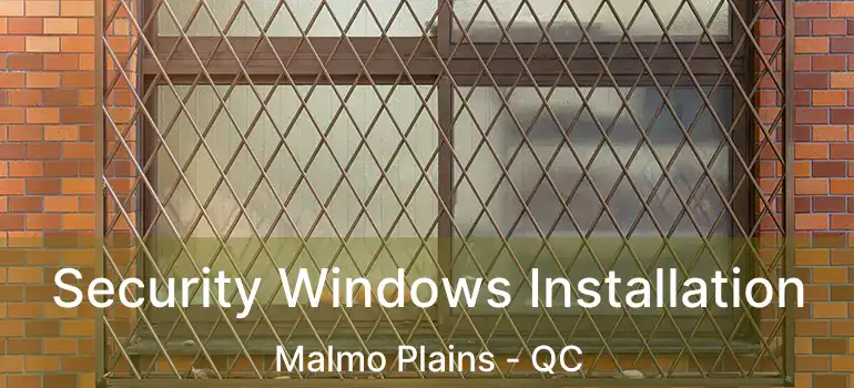 Security Windows Installation Malmo Plains - QC
