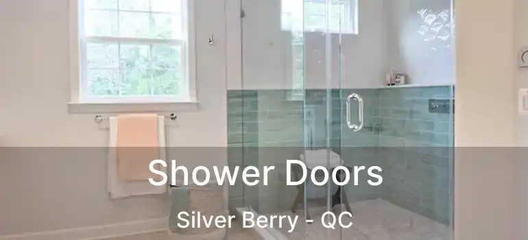  Shower Doors Silver Berry - QC