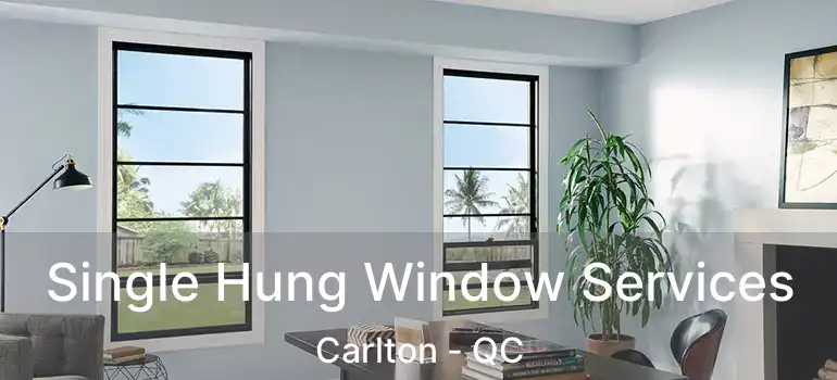  Single Hung Window Services Carlton - QC