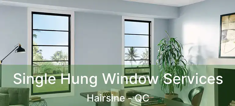  Single Hung Window Services Hairsine - QC