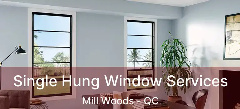  Single Hung Window Services Mill Woods - QC