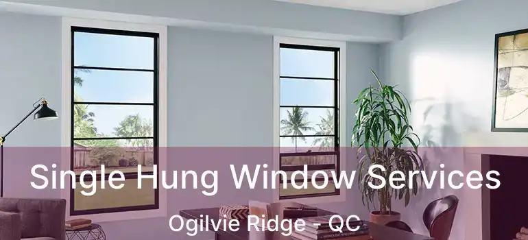  Single Hung Window Services Ogilvie Ridge - QC
