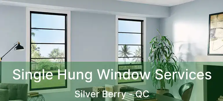  Single Hung Window Services Silver Berry - QC