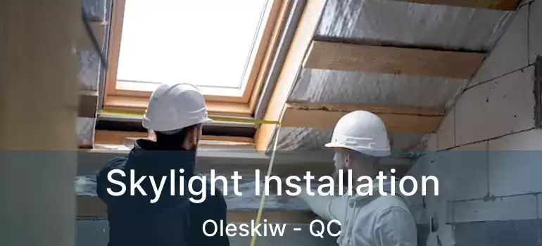  Skylight Installation Oleskiw - QC