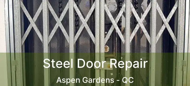  Steel Door Repair Aspen Gardens - QC