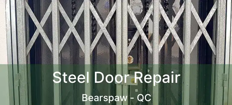  Steel Door Repair Bearspaw - QC