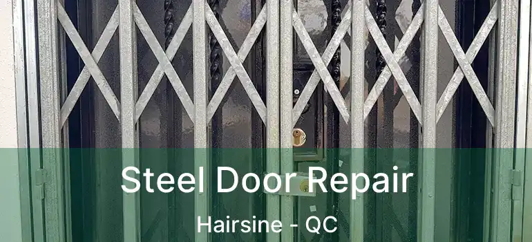  Steel Door Repair Hairsine - QC