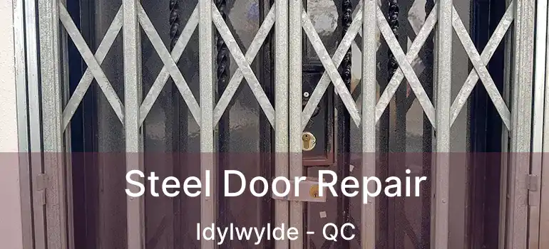  Steel Door Repair Idylwylde - QC
