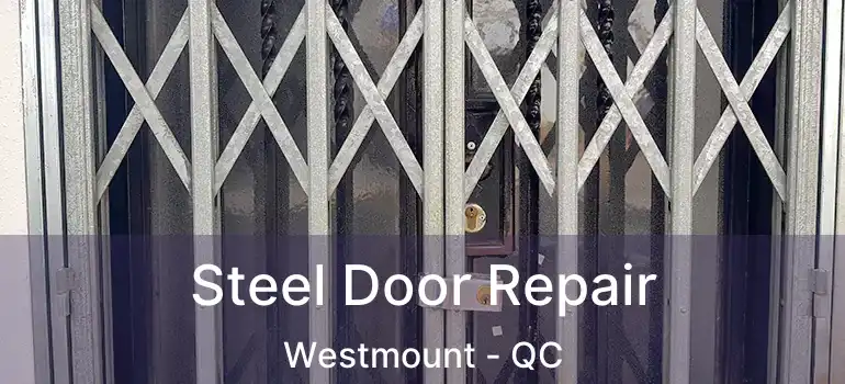 Steel Door Repair Westmount - QC