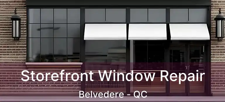  Storefront Window Repair Belvedere - QC