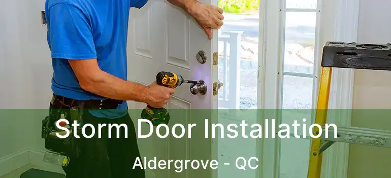  Storm Door Installation Aldergrove - QC