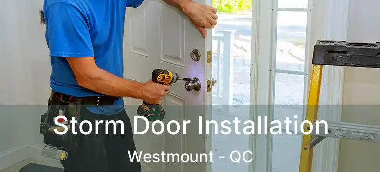  Storm Door Installation Westmount - QC