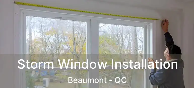 Storm Window Installation Beaumont - QC
