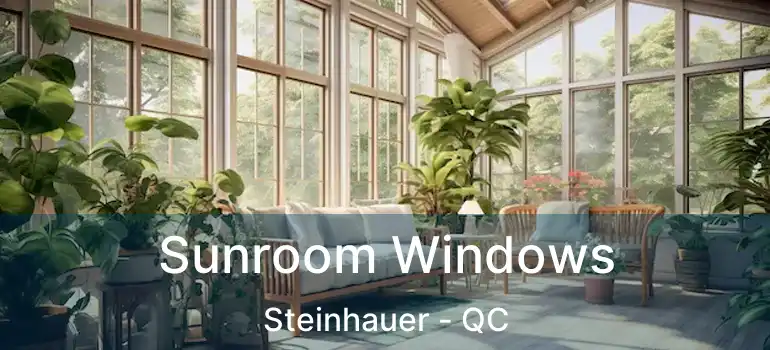 Sunroom Windows Steinhauer - QC