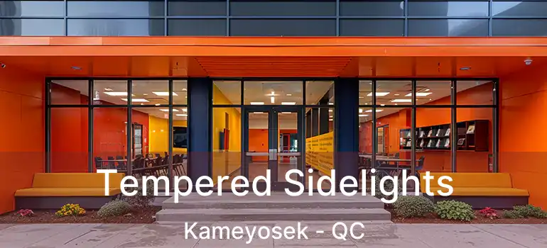 Tempered Sidelights Kameyosek - QC
