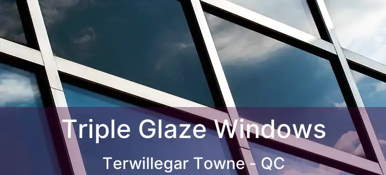  Triple Glaze Windows Terwillegar Towne - QC
