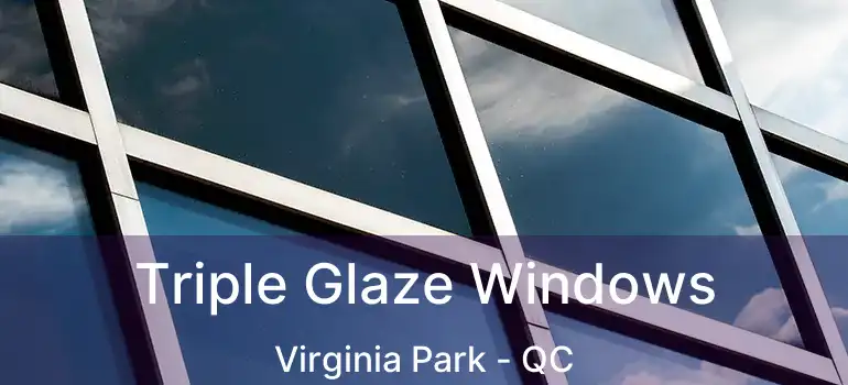  Triple Glaze Windows Virginia Park - QC