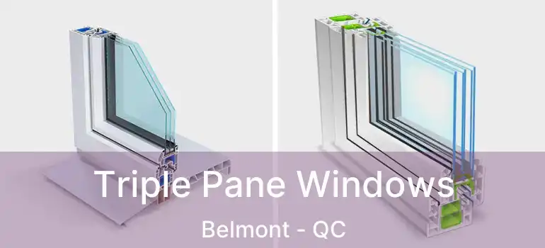  Triple Pane Windows Belmont - QC