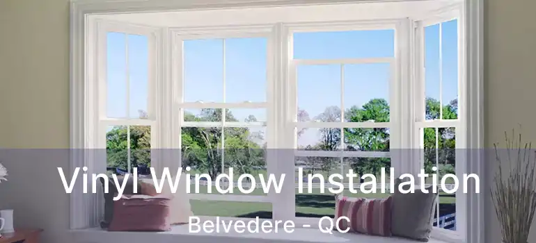  Vinyl Window Installation Belvedere - QC
