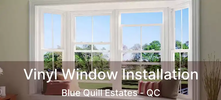 Vinyl Window Installation Blue Quill Estates - QC