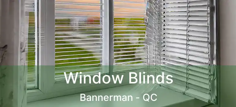  Window Blinds Bannerman - QC