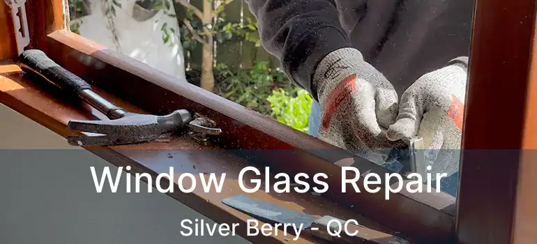  Window Glass Repair Silver Berry - QC