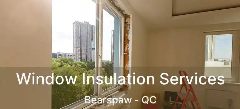  Window Insulation Services Bearspaw - QC