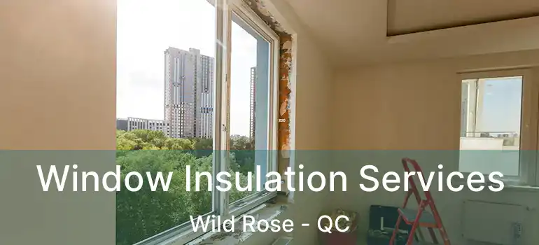 Window Insulation Services Wild Rose - QC