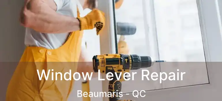  Window Lever Repair Beaumaris - QC