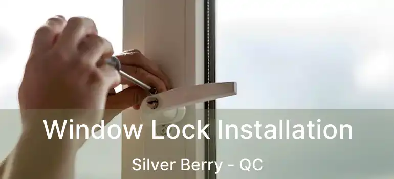  Window Lock Installation Silver Berry - QC