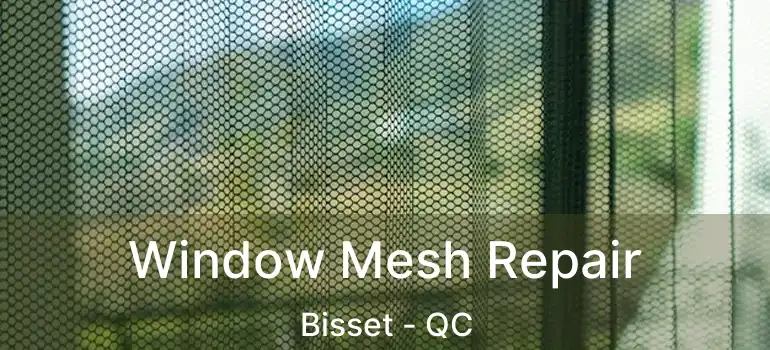  Window Mesh Repair Bisset - QC