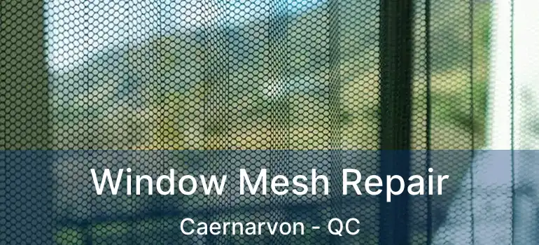  Window Mesh Repair Caernarvon - QC