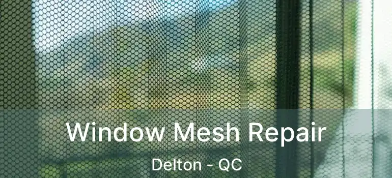  Window Mesh Repair Delton - QC