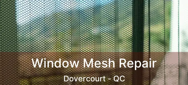  Window Mesh Repair Dovercourt - QC
