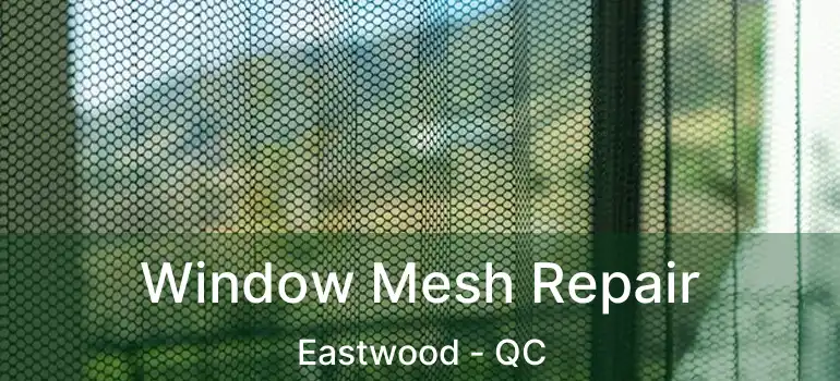  Window Mesh Repair Eastwood - QC