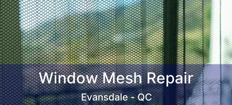  Window Mesh Repair Evansdale - QC