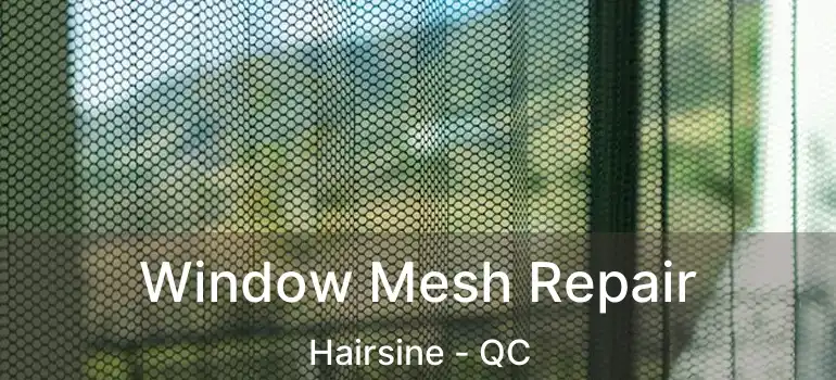  Window Mesh Repair Hairsine - QC