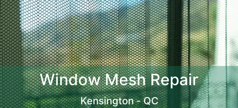 Window Mesh Repair Kensington - QC