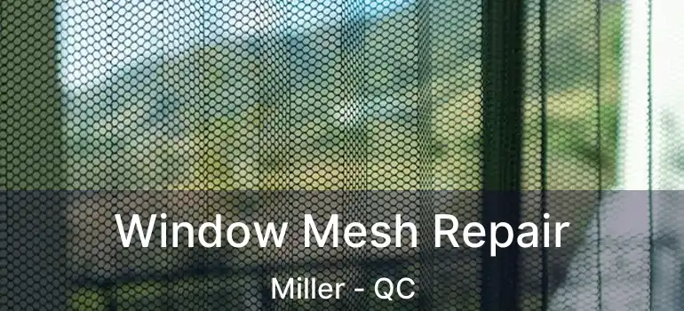  Window Mesh Repair Miller - QC