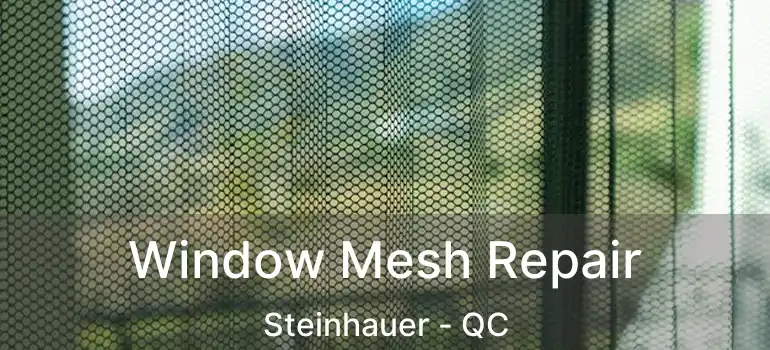 Window Mesh Repair Steinhauer - QC